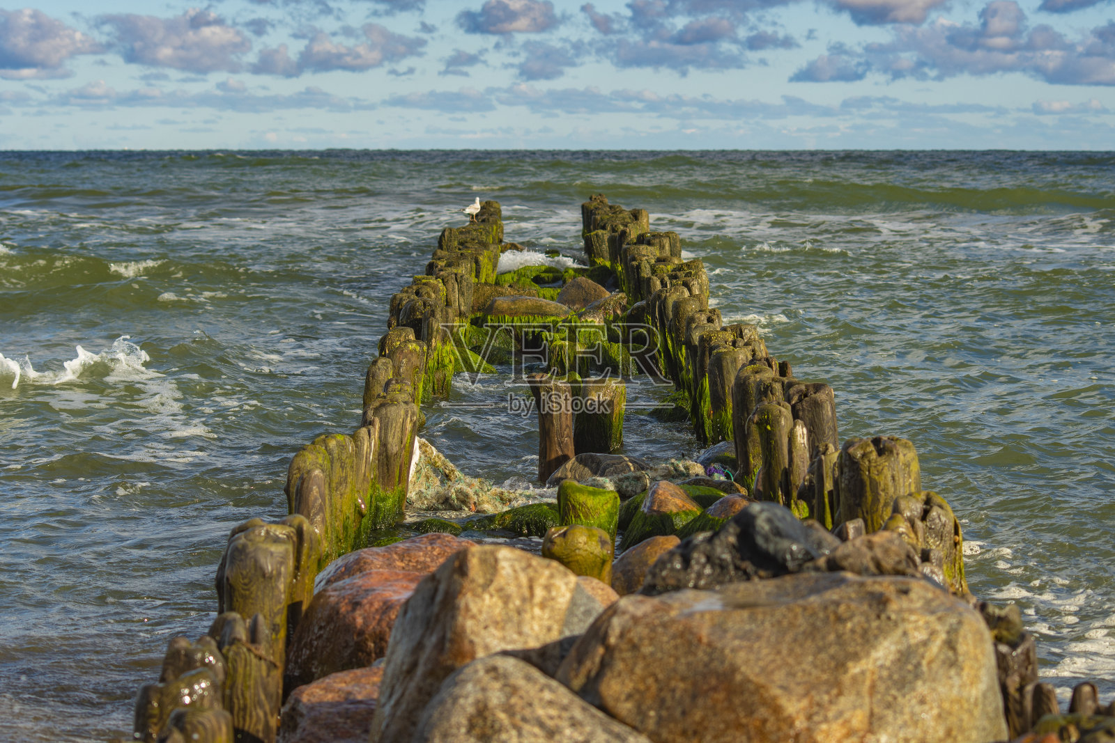 防波堤一种古老的老式防波堤，用木杆插入地下，长满了绿色的海藻。海边的浪漫风景。照片摄影图片
