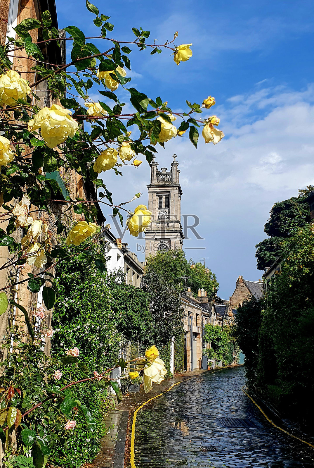爱丁堡马戏团巷照片摄影图片