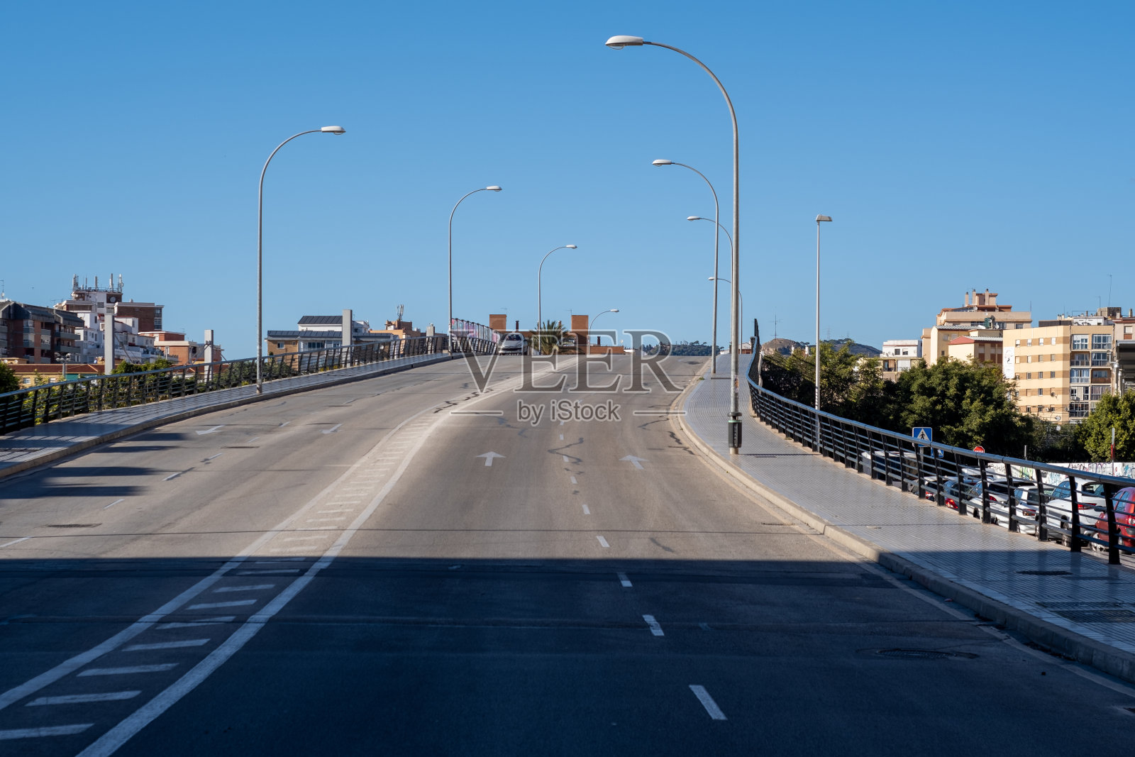 马拉加街道上美丽的树景照片摄影图片