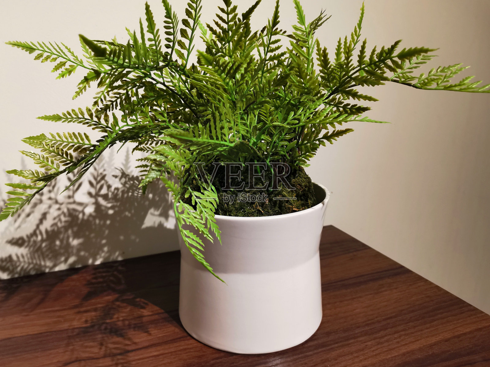 白色花盆装饰人工绿色植物库存照片照片摄影图片