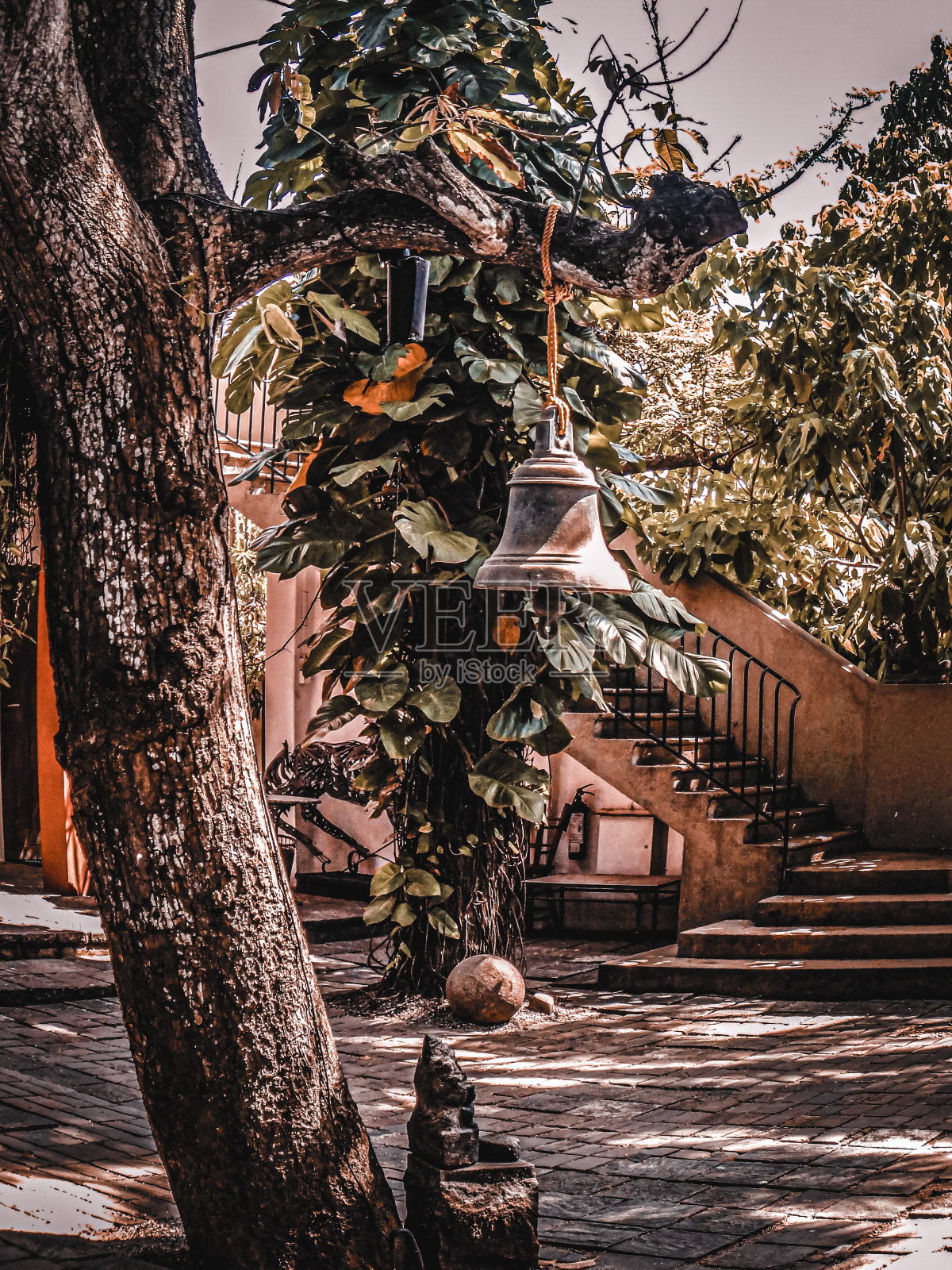 斯里兰卡照片摄影图片