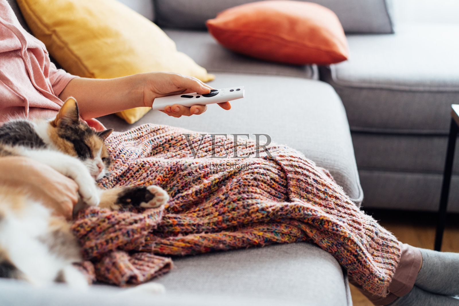 没有脸的女人穿着格子衣服，用遥控器选择电影，在沙发上抚摸着五颜六色的猫。在家里开电影之夜派对，有糖果和热饮。舒适的放松时间。有选择性的重点。照片摄影图片