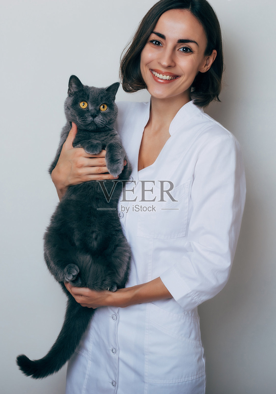 年轻美丽的微笑女兽医在兽医诊所握住手和检查猫照片摄影图片