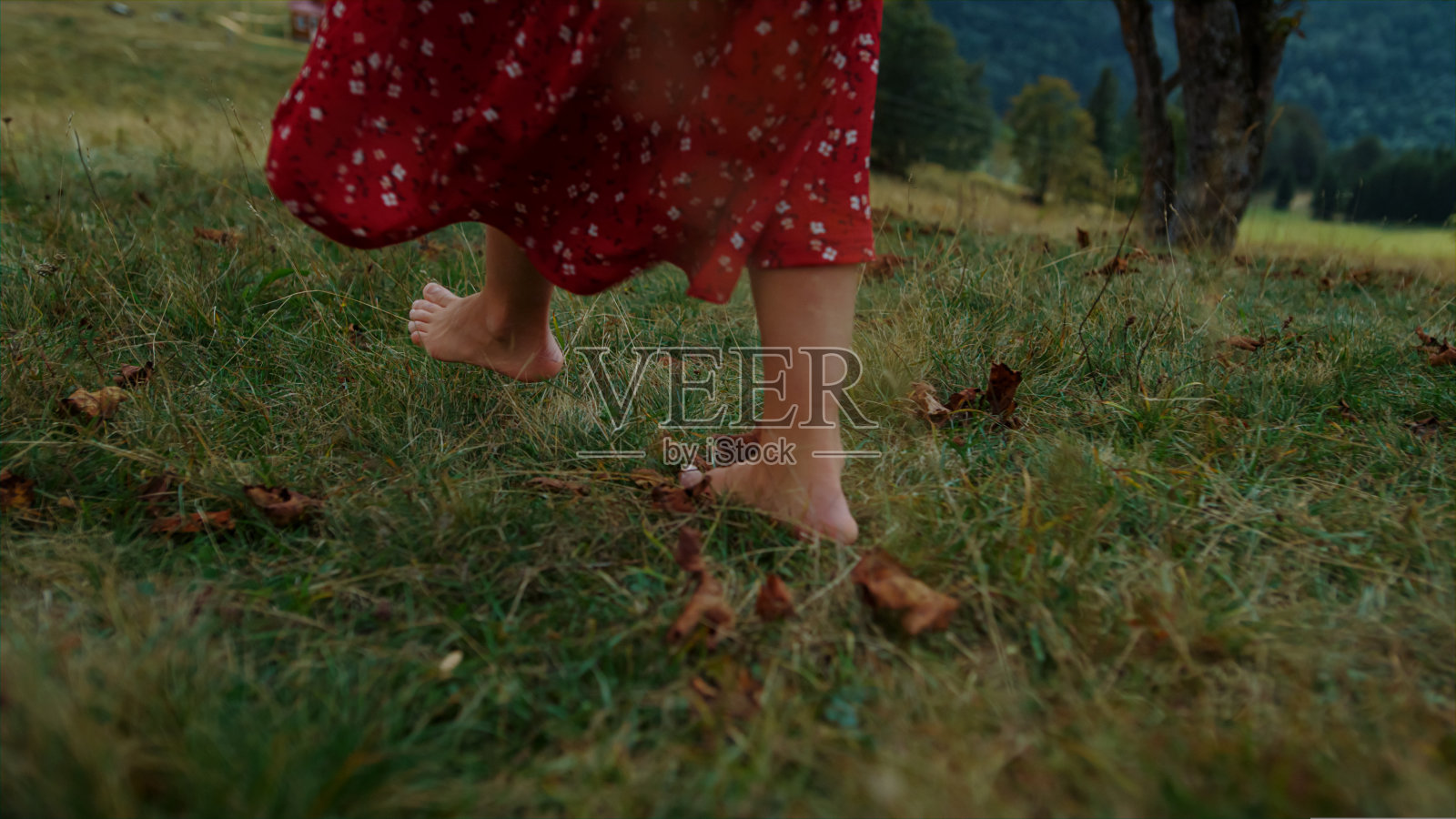 光着脚的女人走在绿色的草地上。陌生女孩踩在草地上照片摄影图片