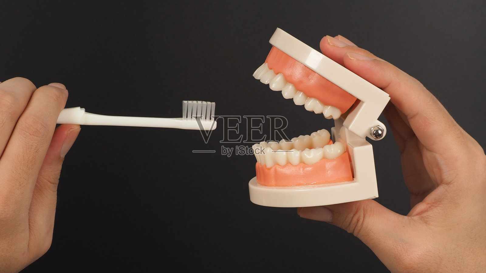 正畸模型的牙齿和手中的牙刷在黑色背景。照片摄影图片