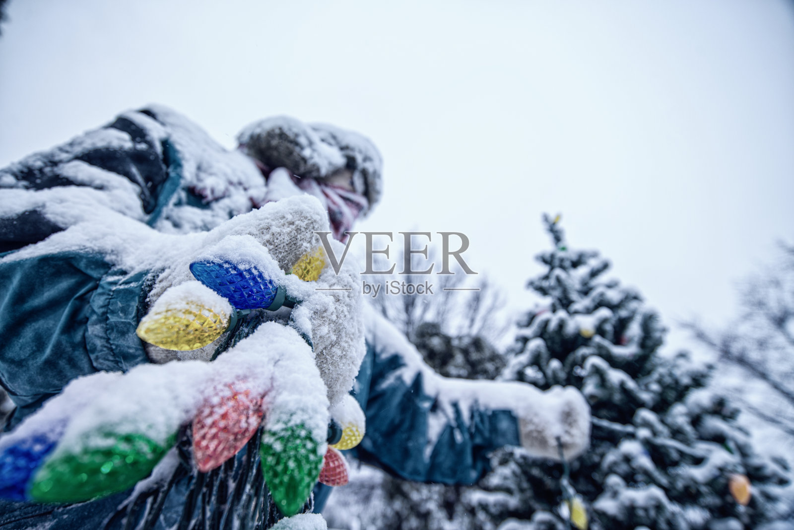 一个被冻住的人拿着被雪覆盖的圣诞树彩灯的特写照片摄影图片