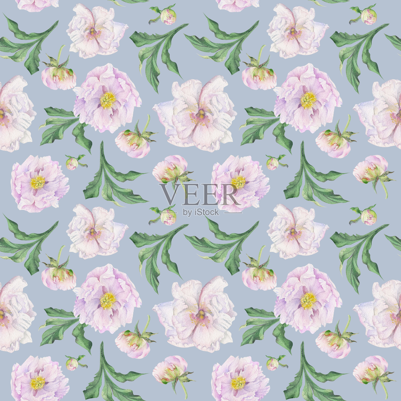 水彩画无缝图案，手绘牡丹花，花蕾，花瓣，花瓣。隔离在彩色背景上。用于请柬，婚礼，爱情或贺卡，纸张，印刷，纺织插画图片素材