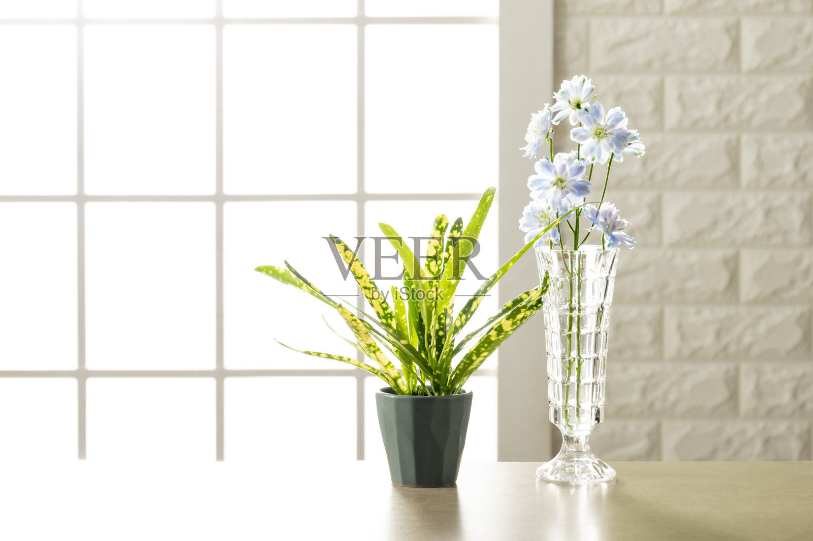 房间的图像照片摄影图片