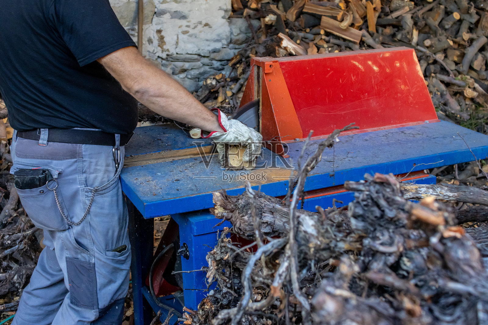 人们正在用圆锯割苹果树的树干，为取暖季节准备木柴照片摄影图片