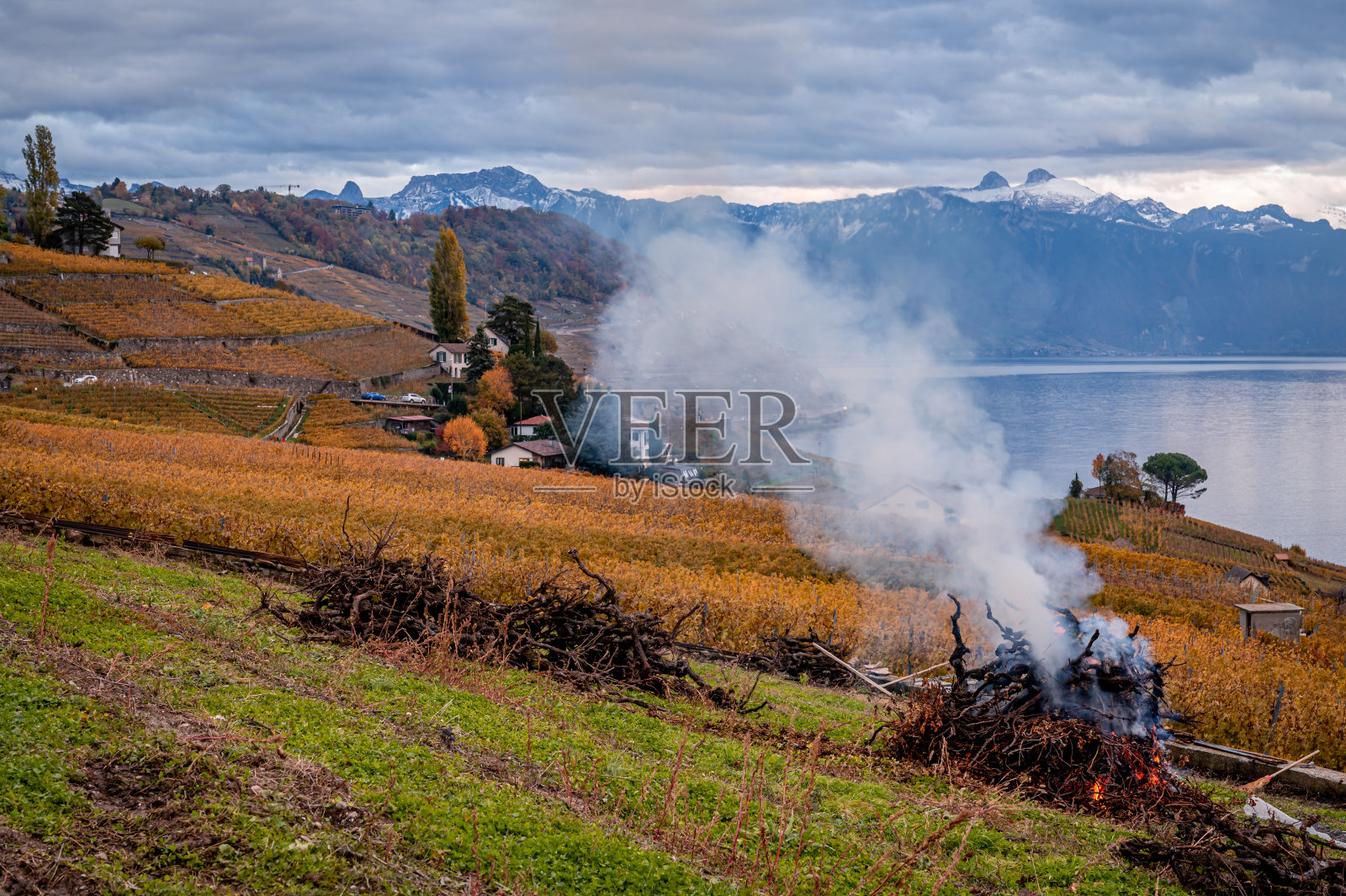 在火中燃烧的树枝。拉沃葡萄园，山和日内瓦湖烟。秋天被联合国教科文组织列为世界遗产。照片摄影图片