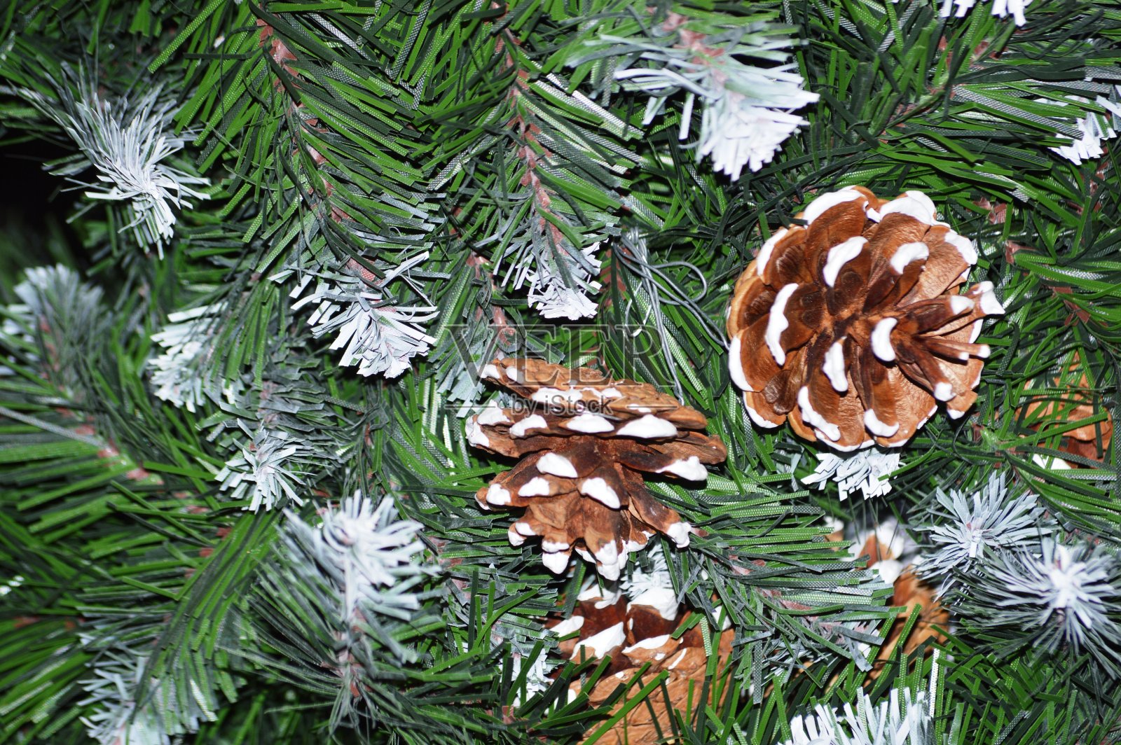 圣诞树照片摄影图片