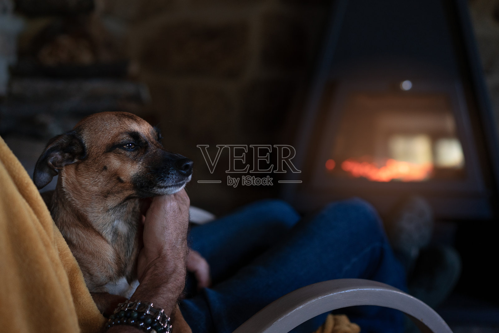 小狗在男人的手里照片摄影图片