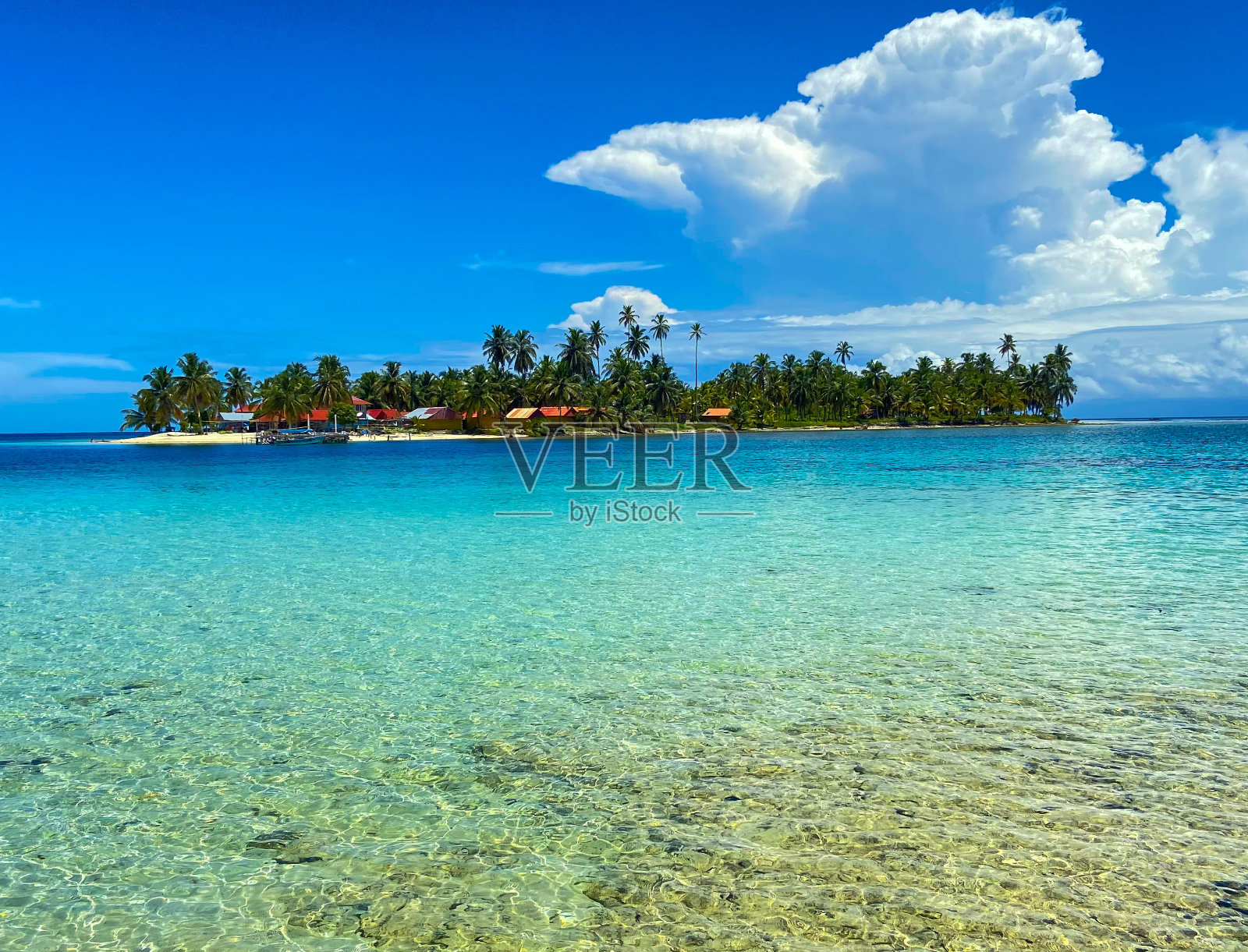 狗岛(狗岛)巴拿马照片摄影图片