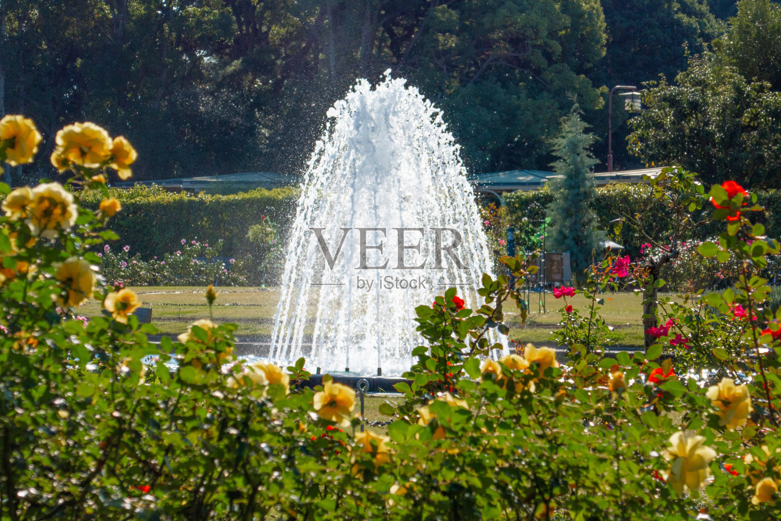 喷泉照片摄影图片