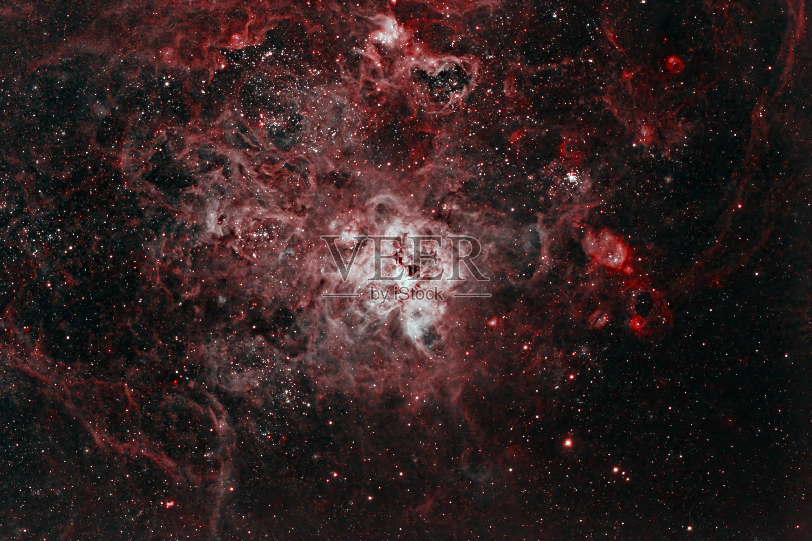 大麦哲伦星云中的狼蛛星云照片摄影图片