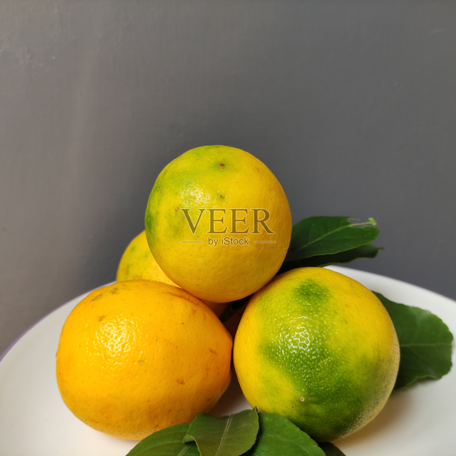 黄色的柠檬果，有绿色和新鲜的柠檬叶照片摄影图片