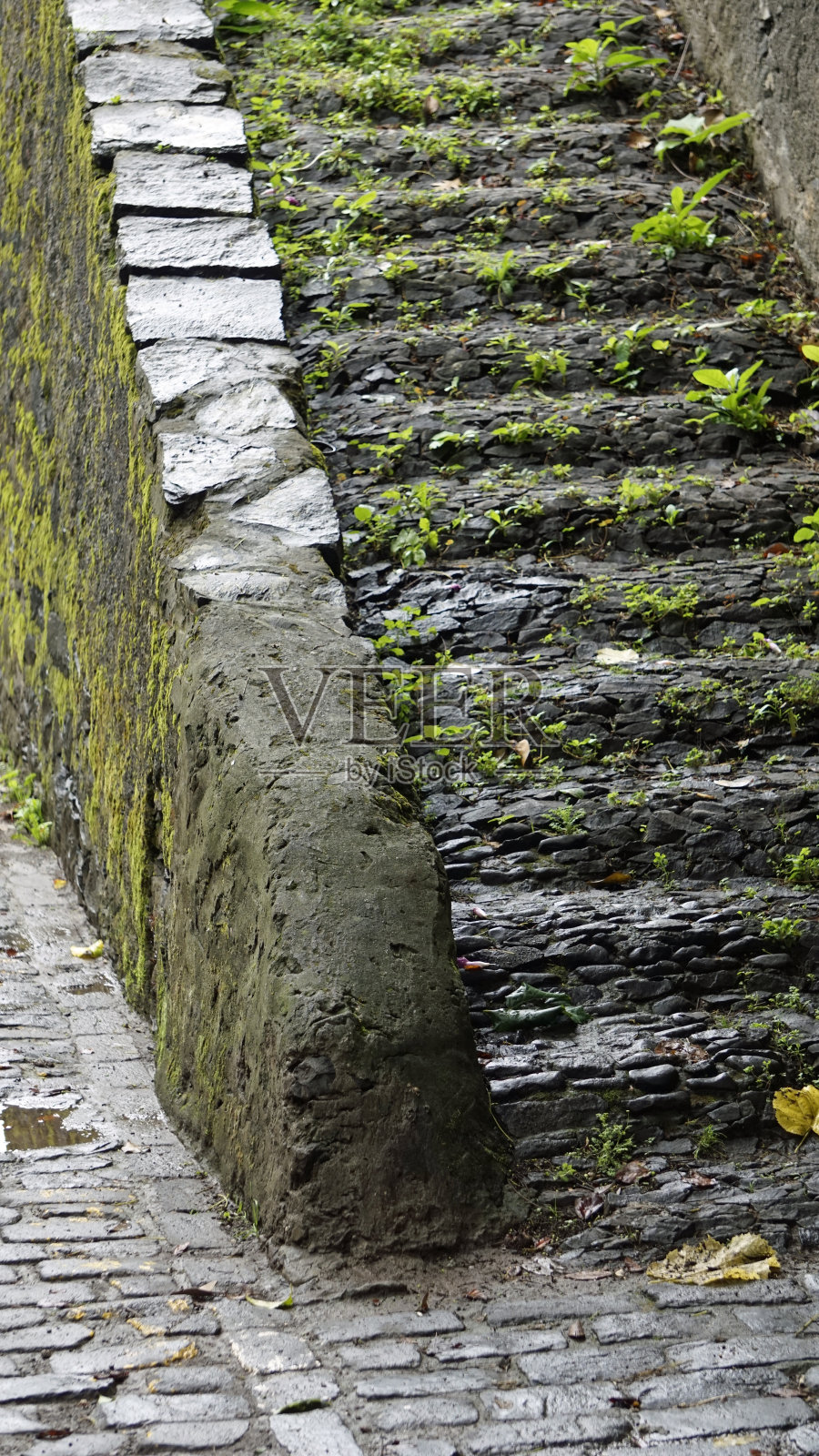 马德拉岛上的建筑照片摄影图片