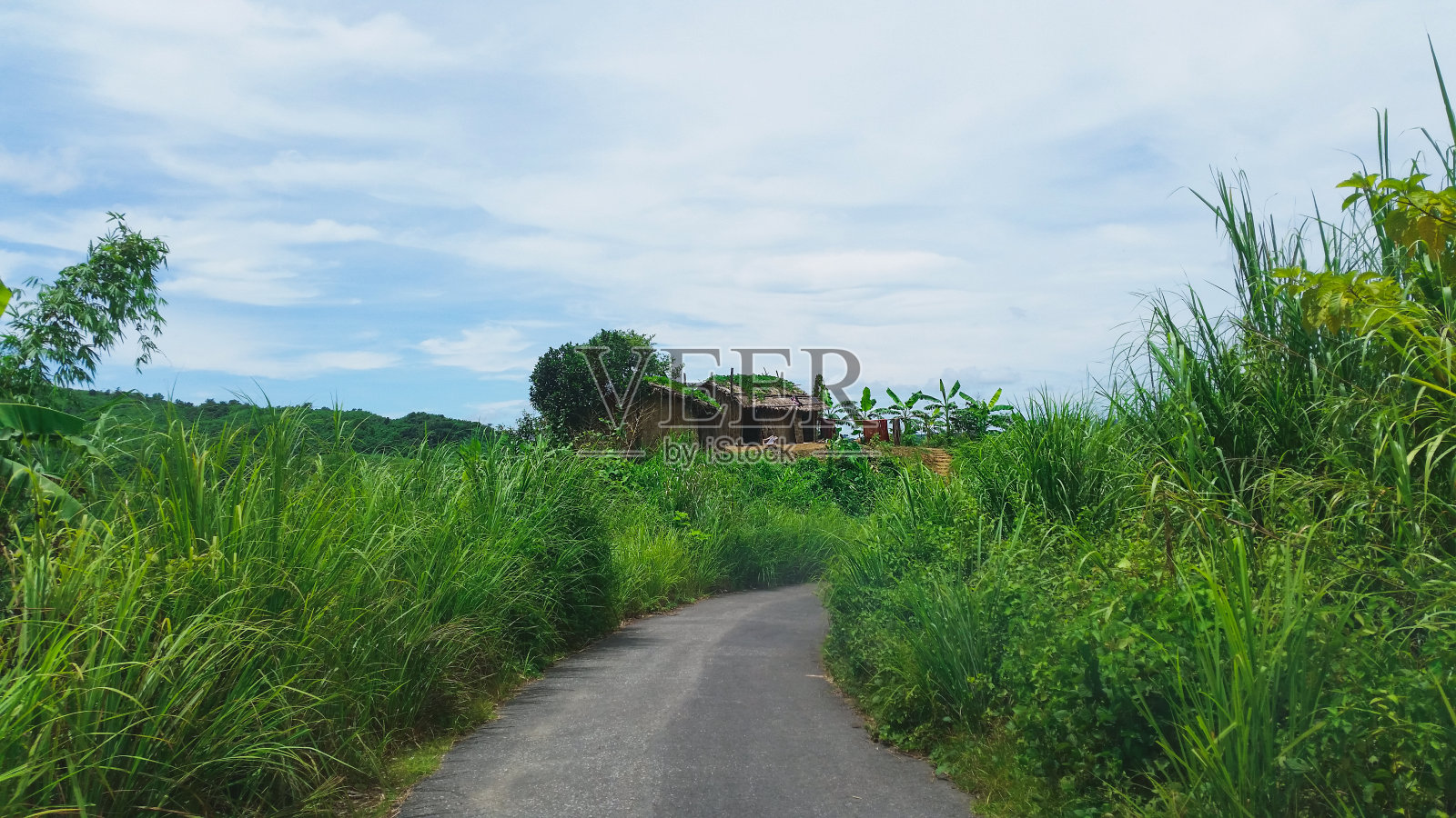 空旷的山路或街道，周围是大自然。通往孟加拉国khagrachari地区Sajek的山路照片摄影图片