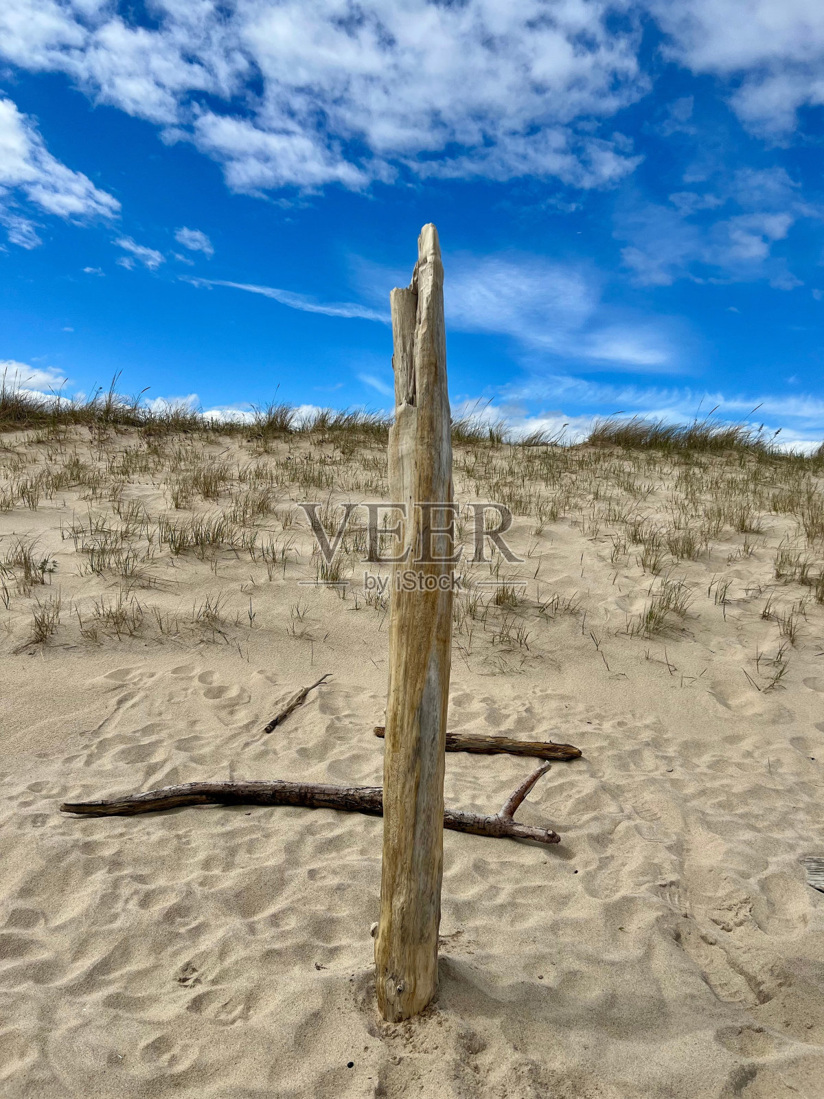 白沙滩上的木杆照片摄影图片