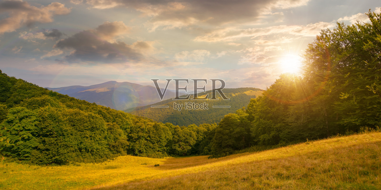 夏天日落时的高山草甸照片摄影图片