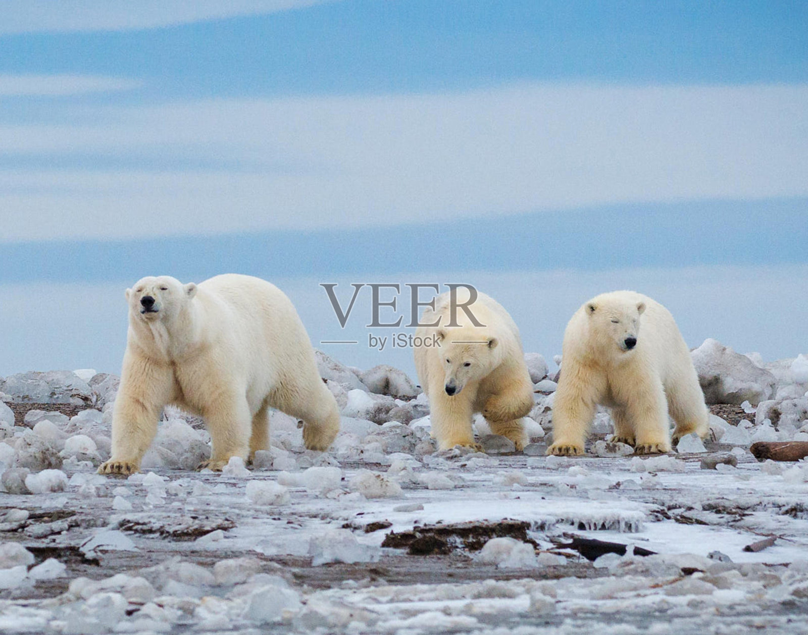 美丽的卡克托维克，阿拉斯加的照片照片摄影图片