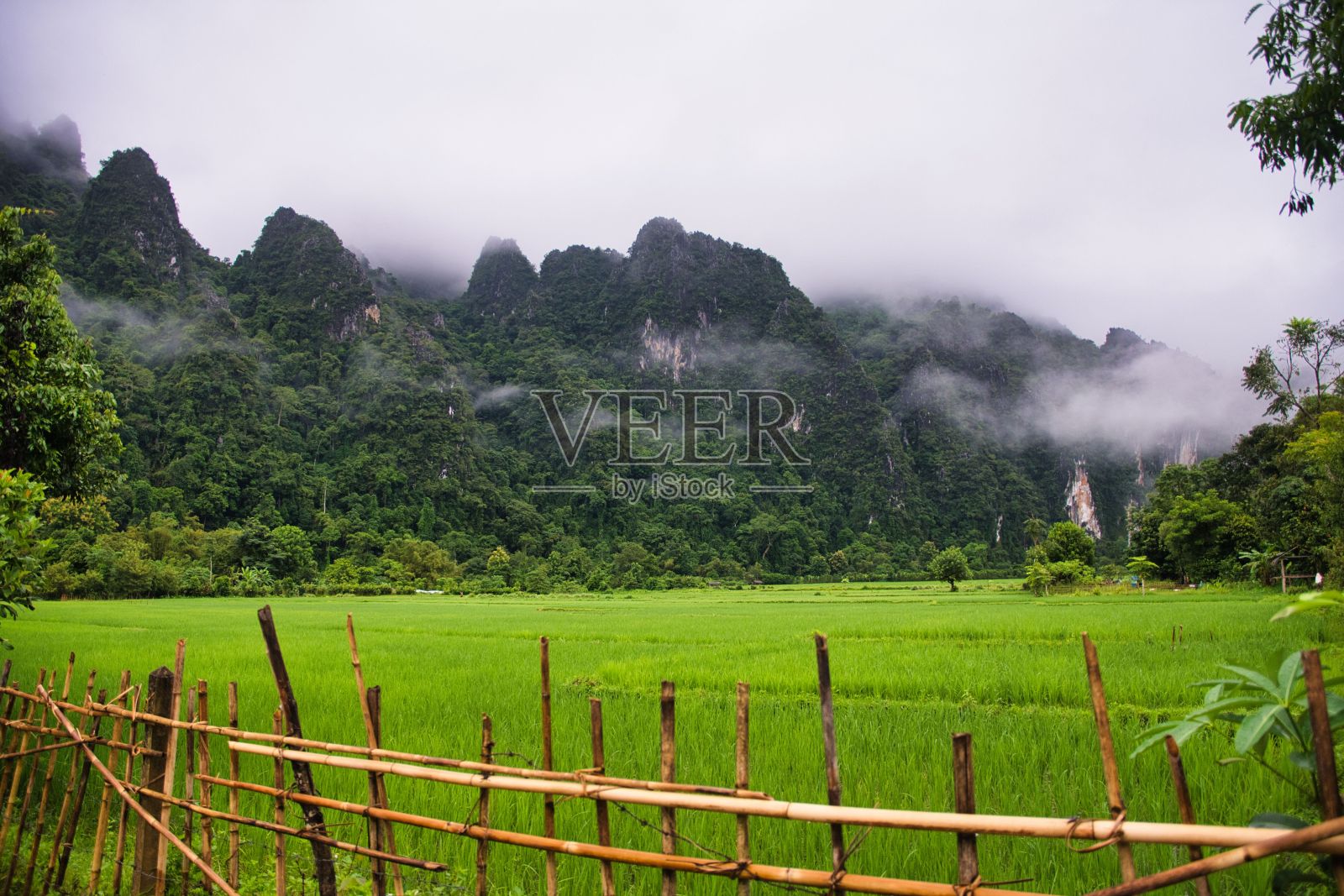 老挝的自然在向北的路上。美丽的山和森林。高画质照片照片摄影图片