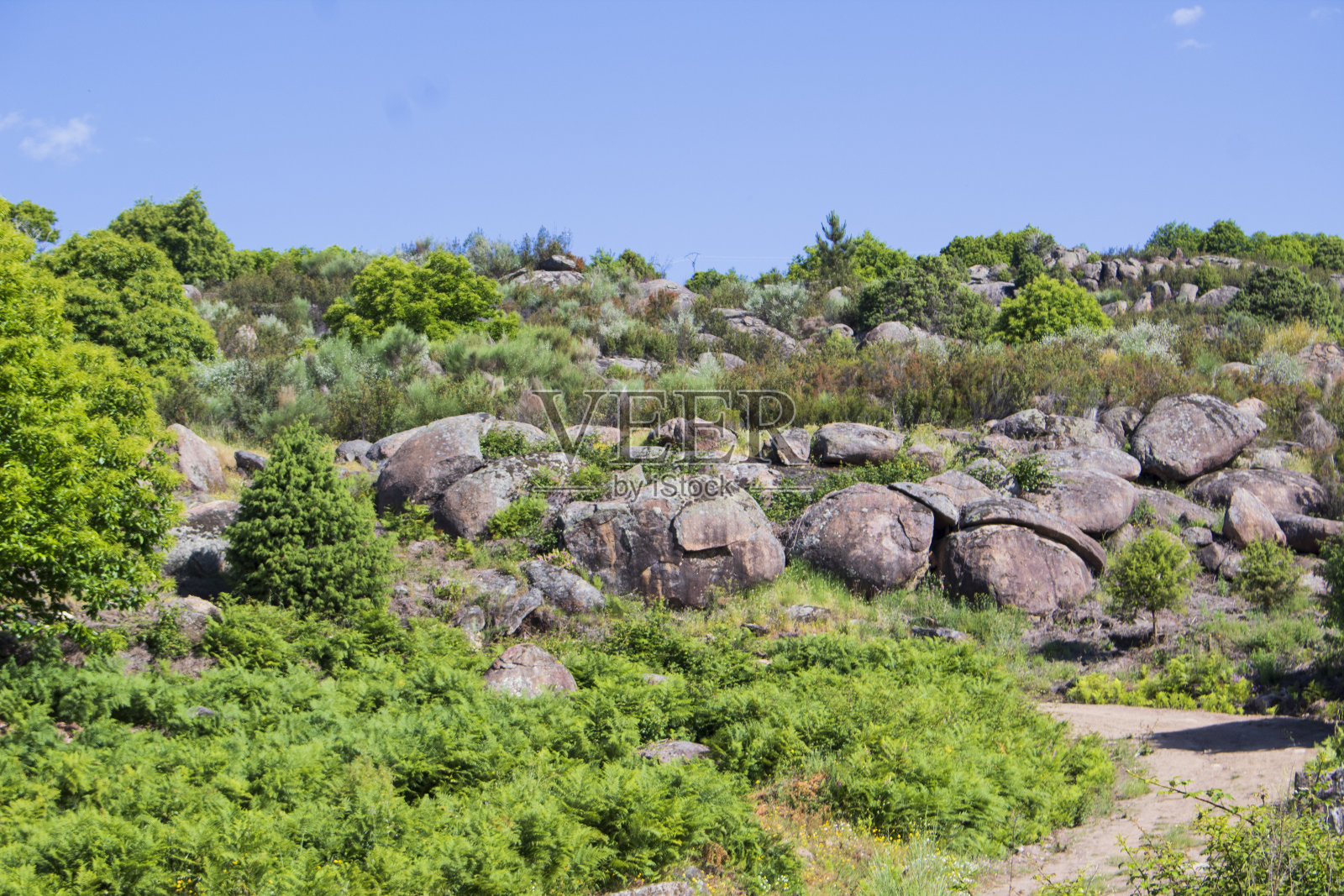 山景观照片摄影图片