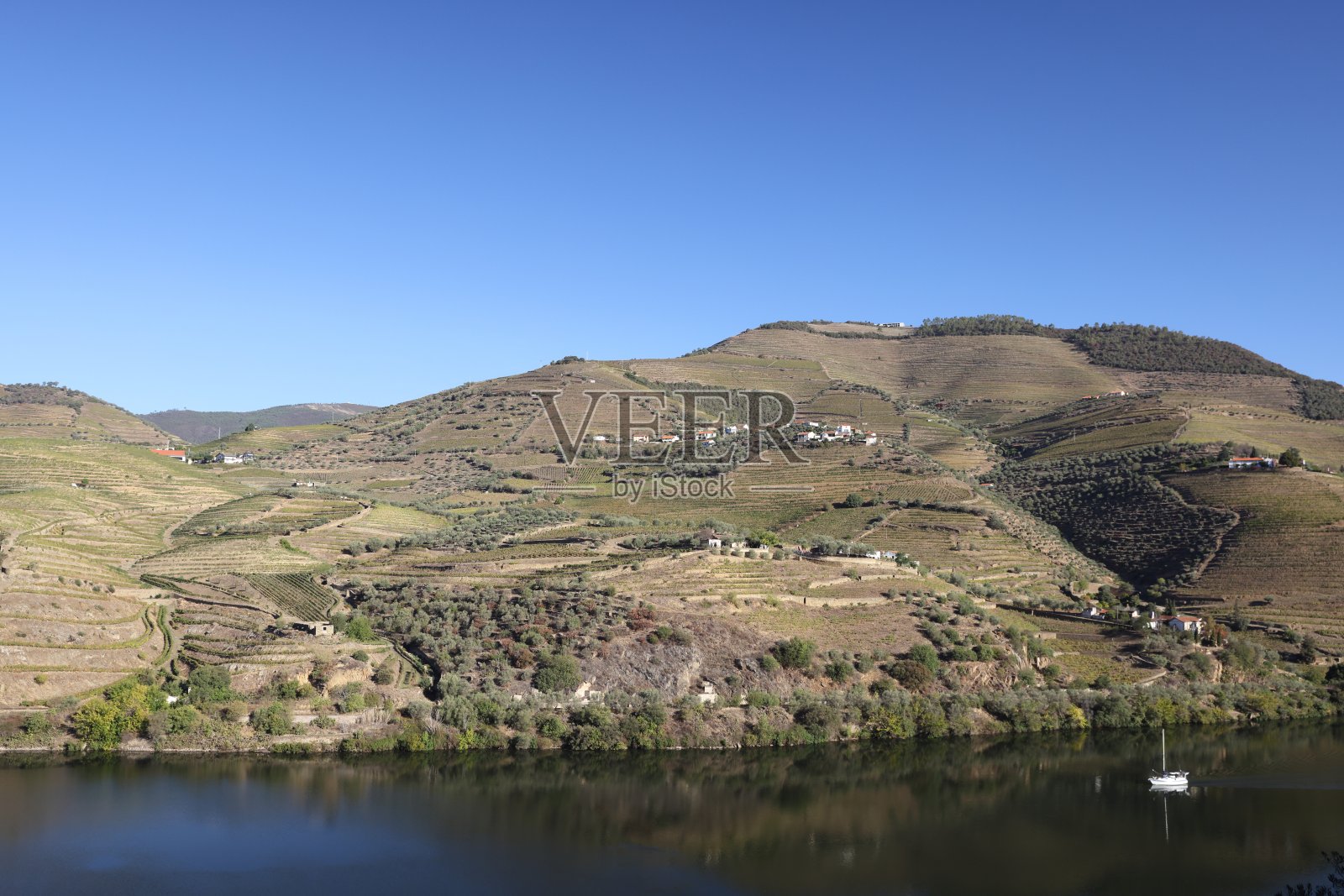 杜罗河和杜罗福尔戈萨附近的梯田葡萄园，上杜罗。葡萄牙，联合国教科文组织世界遗产照片摄影图片