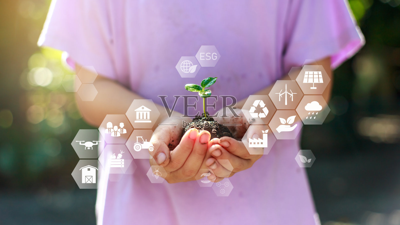 ESG图标概念在萌芽植物在儿童手中为环境社会和治理在可持续和道德的商业在绿色自然的背景。照片摄影图片