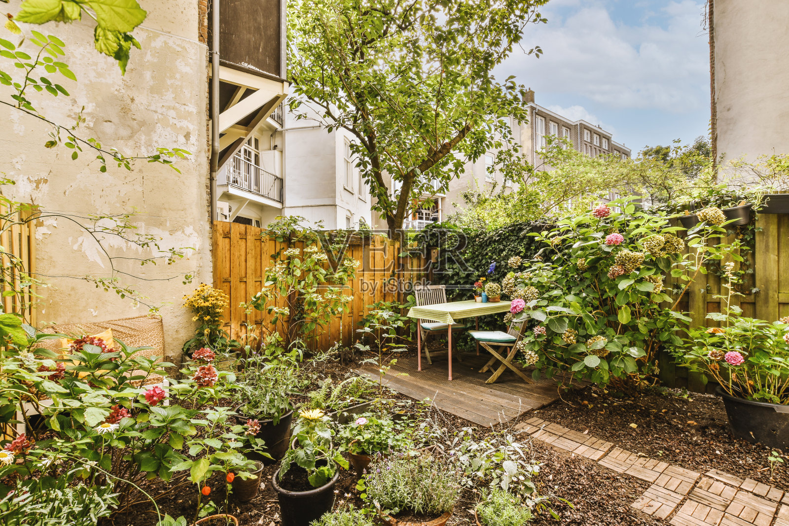 一个长满植物的小后院是一个放松的地方照片摄影图片