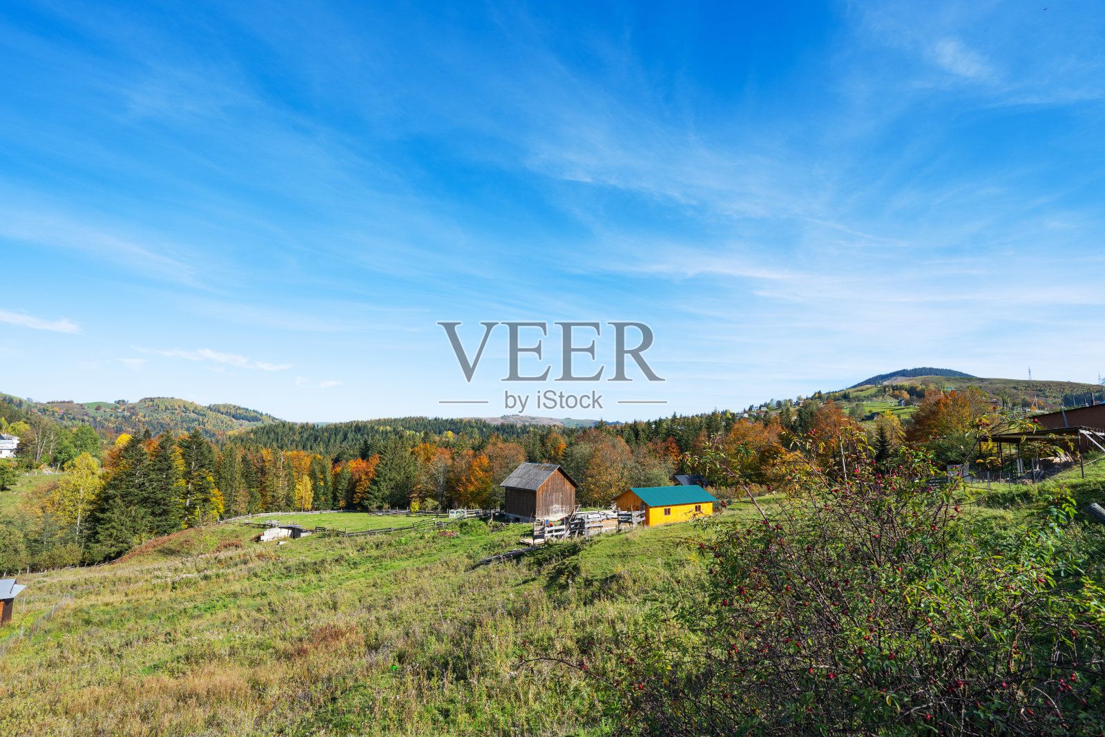 阳光明媚的喀尔巴阡秋景照片摄影图片