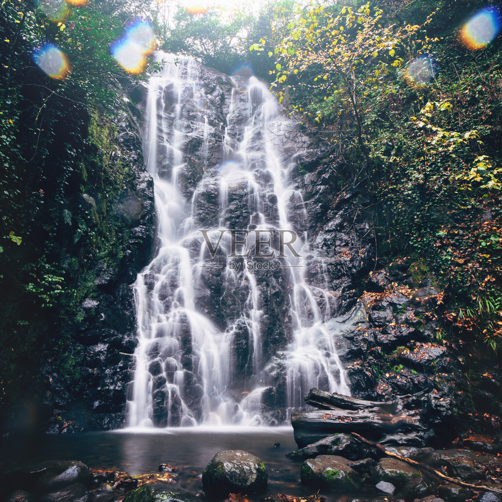 深绿色森林中的瀑布。山涧流水溅在深色的岩石上照片摄影图片