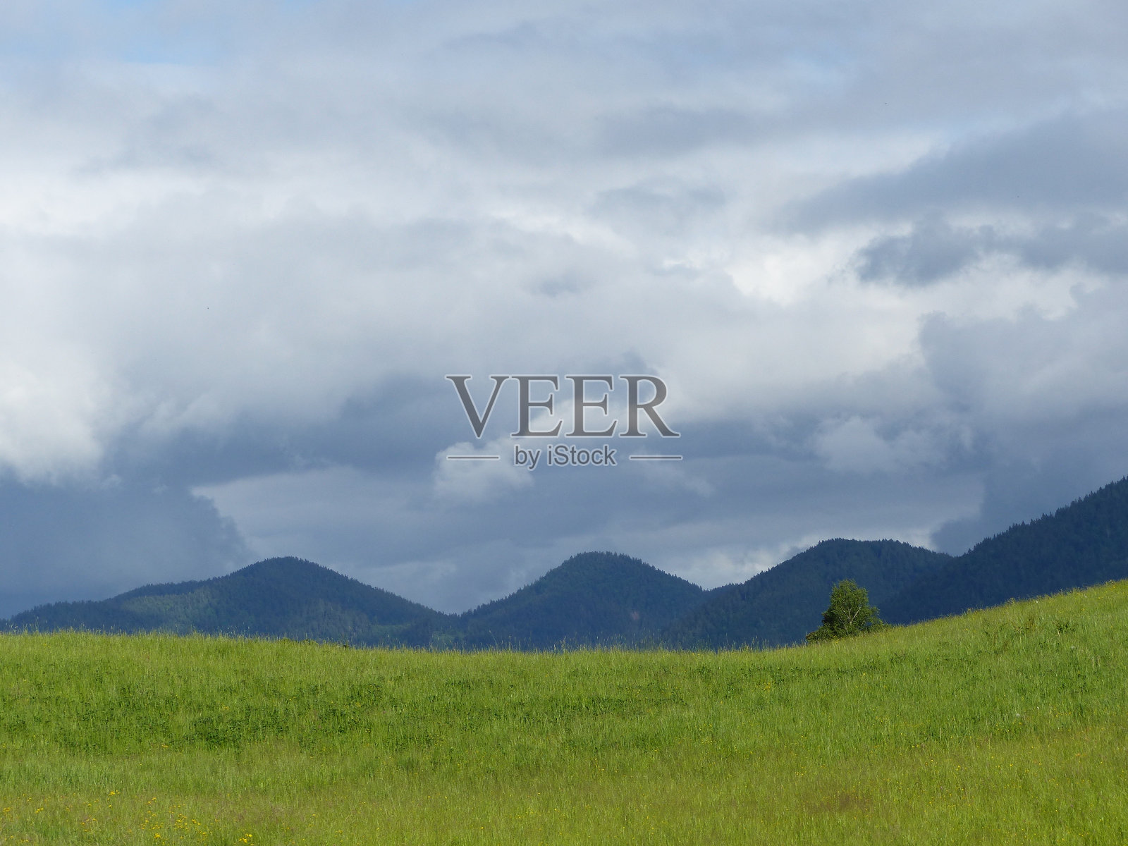 云朵、森林和草地照片摄影图片