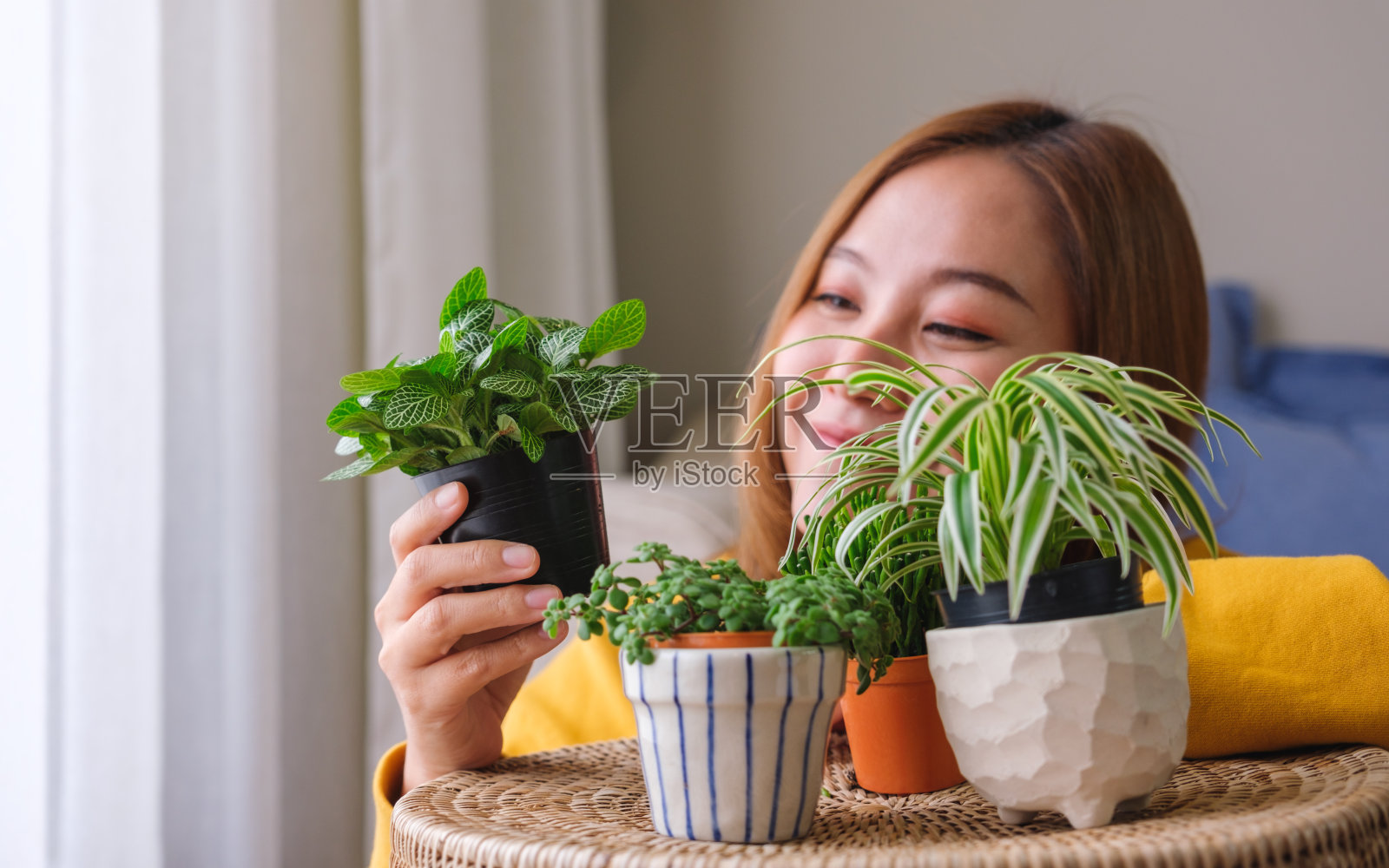 肖像的一个美丽的年轻女子看着和照顾室内植物在家里照片摄影图片