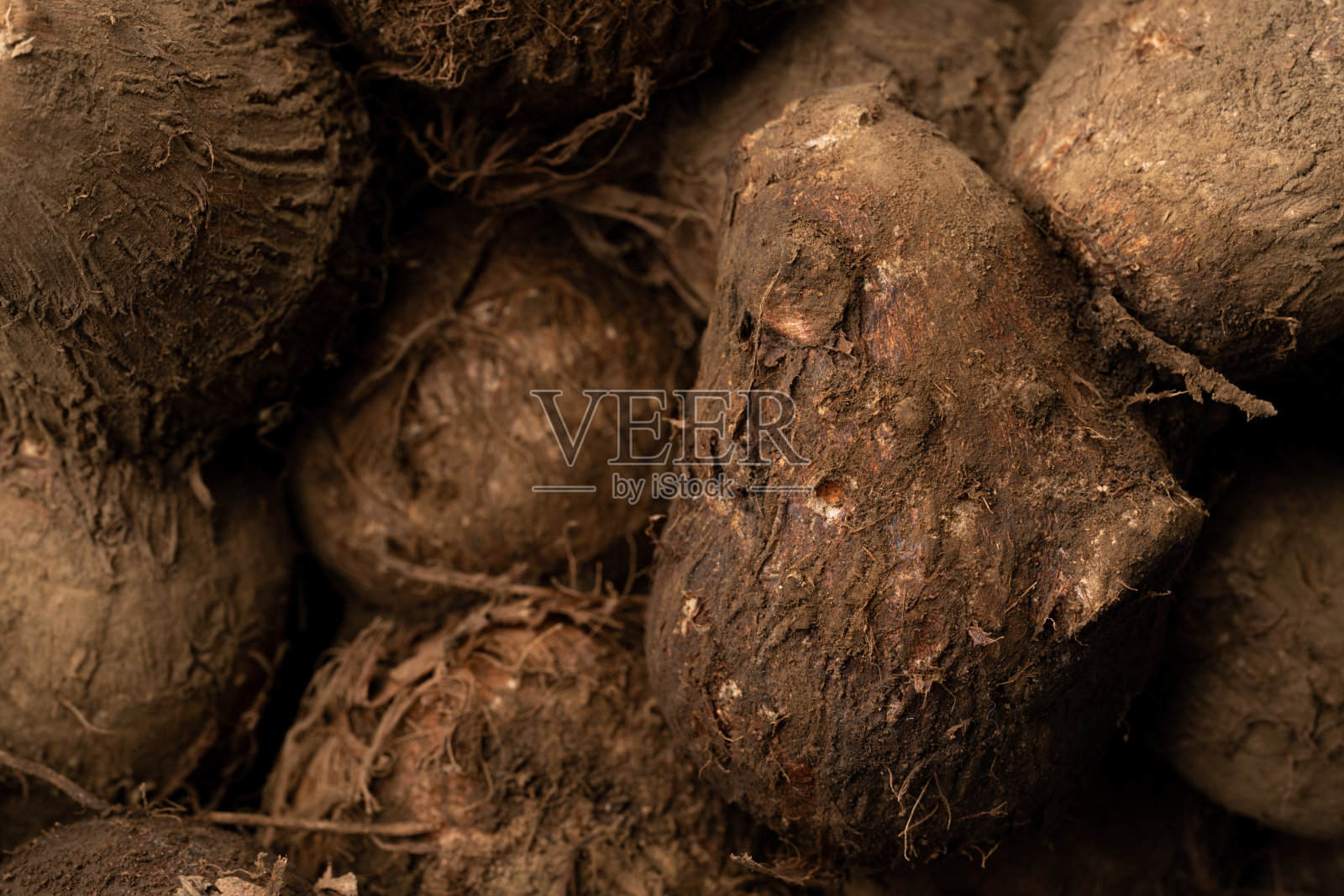 新鲜芋头照片摄影图片