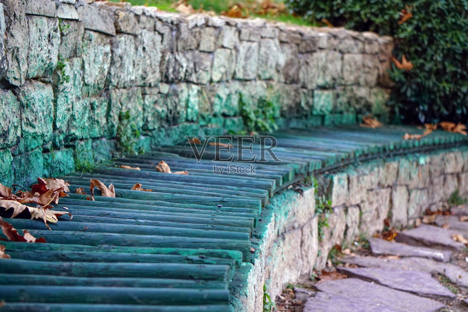 晒干的秋叶在绿色木凳上的特写照片摄影图片