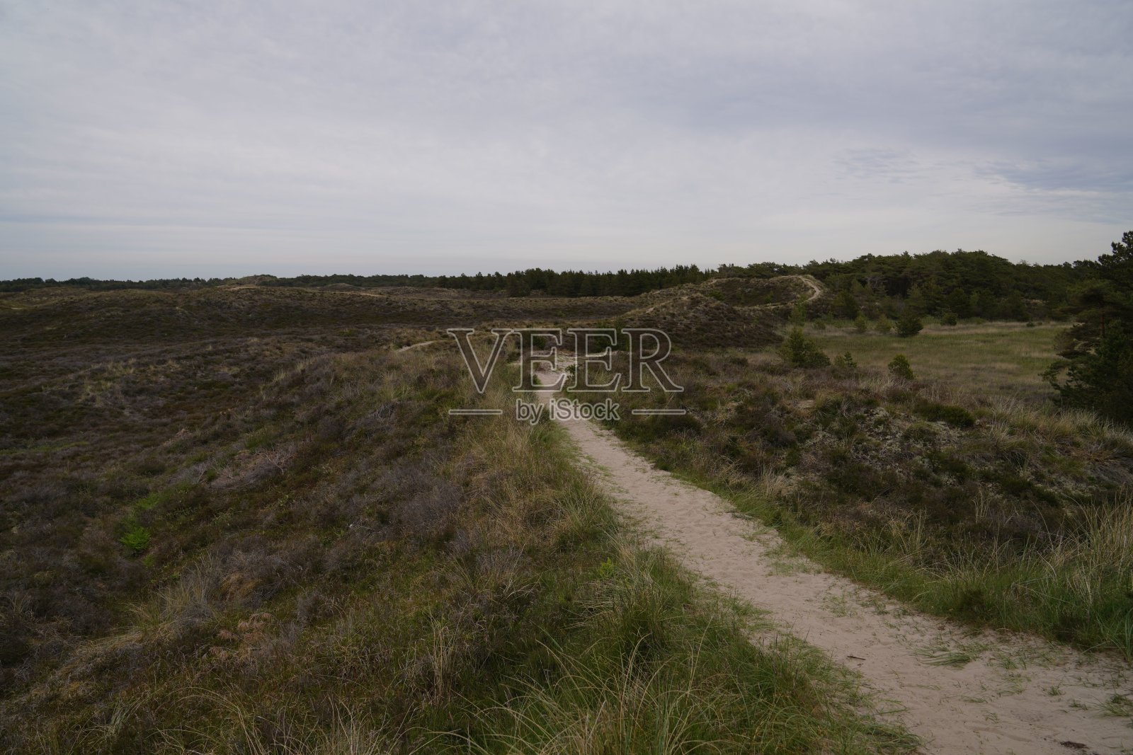 在一个阳光明媚的日子里，乡间的一片绿色草地上有一条小路照片摄影图片