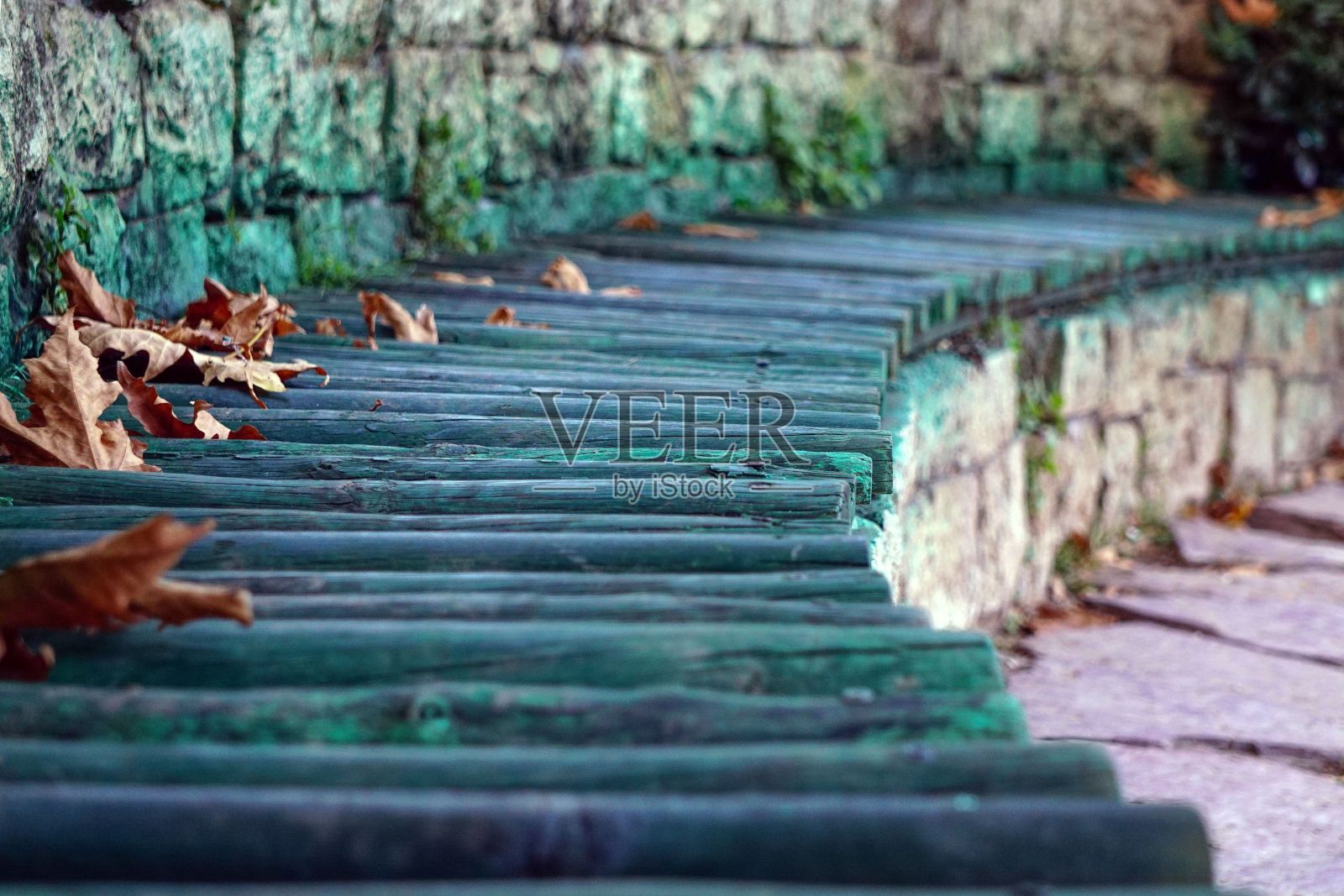 晒干的秋叶在绿色木凳上的特写照片摄影图片