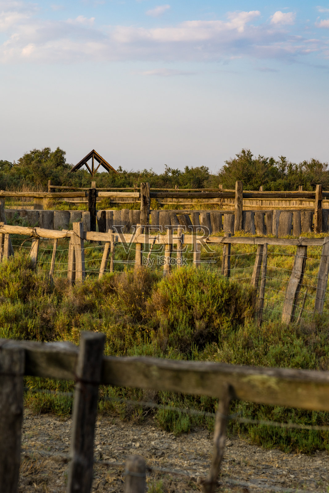 小烛台的空围墙在日落时争辩沼泽照片摄影图片