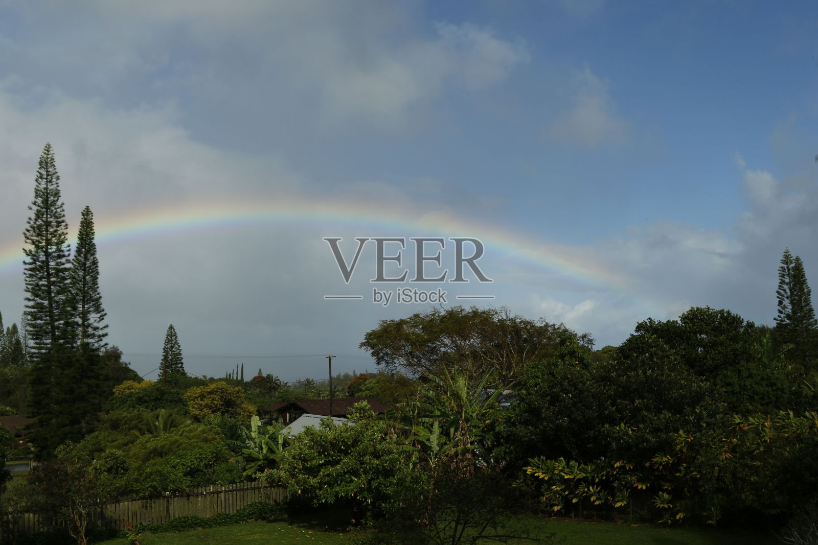 在夏威夷的天空中，美丽的树木和彩虹照片摄影图片