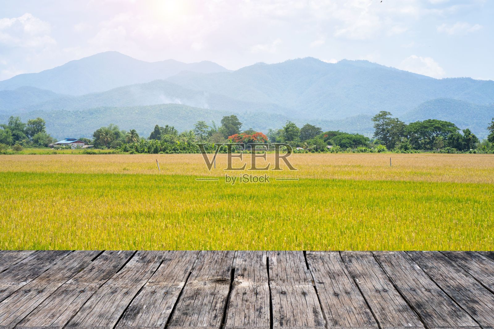 在一个阳光明媚的日子里，从门廊看到的青山映衬下的绿色田野的3D渲染图照片摄影图片