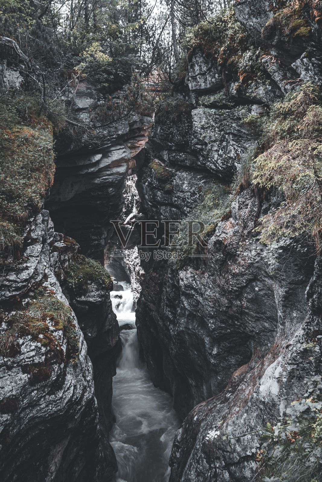 在瑞士罗森劳伊的罗森劳伊冰川峡谷的垂直拍摄与流水植被照片摄影图片