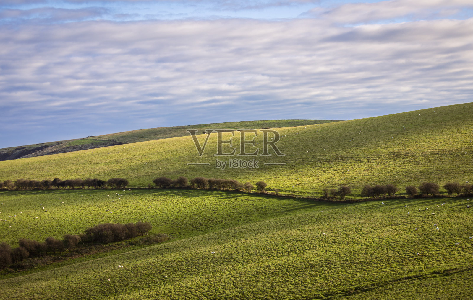 南唐斯法尔默路布莱顿照片摄影图片