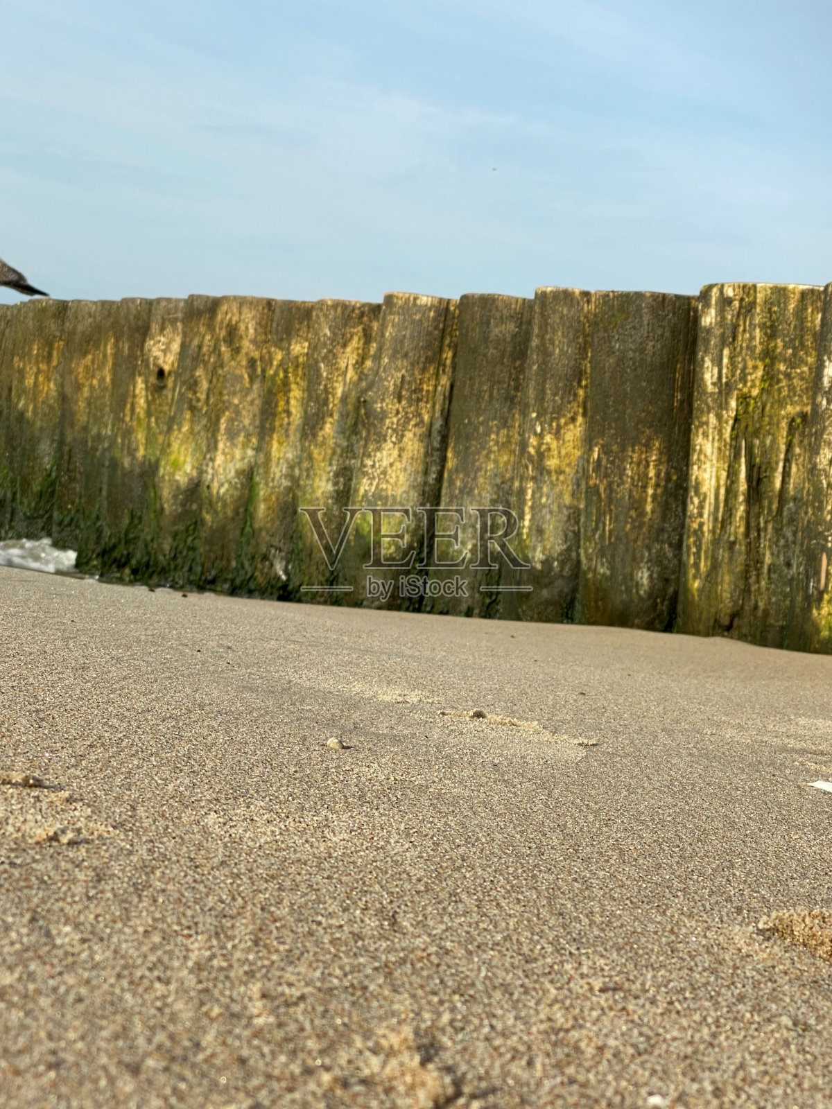 防波堤:波罗的海上保护海岸不受海浪冲击的木制防波堤照片摄影图片