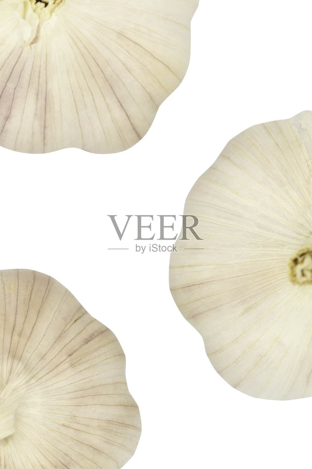 大蒜孤立在白色背景与修剪路径内部照片摄影图片