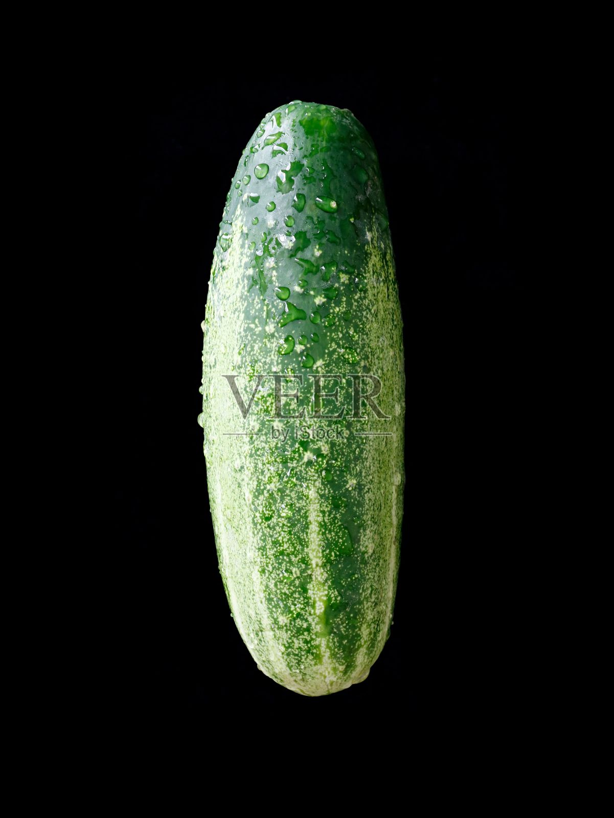 垂直拍摄的绿色新鲜黄瓜孤立在黑色背景照片摄影图片