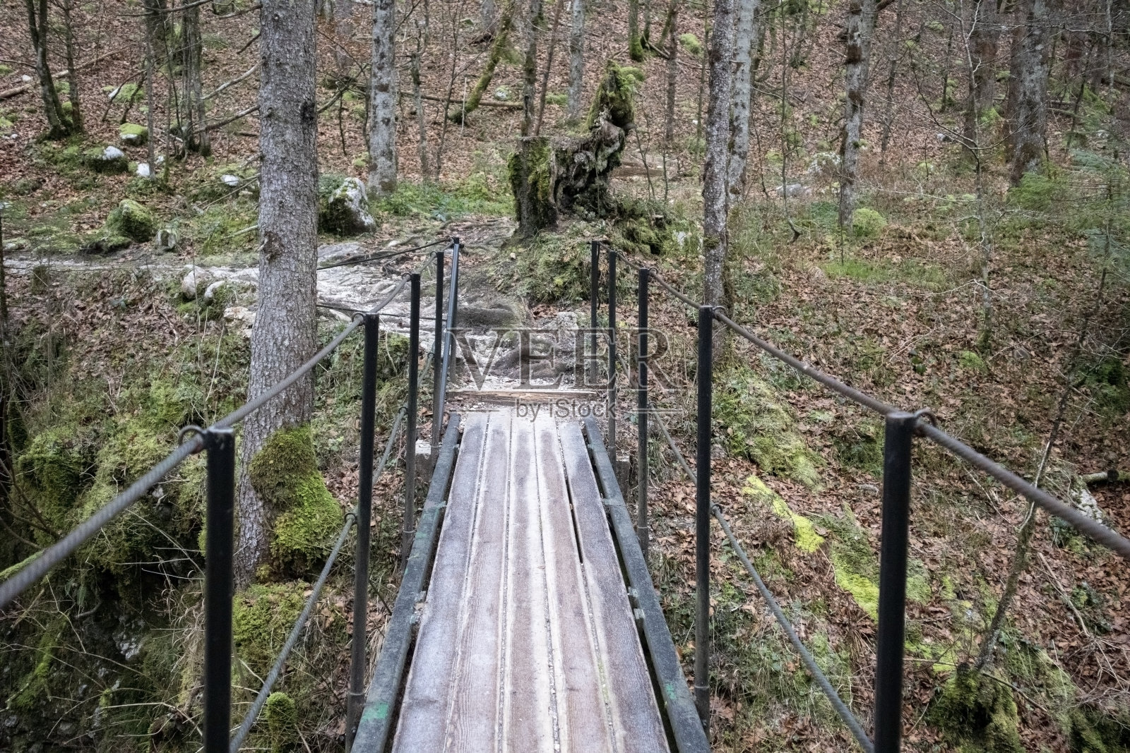 斯洛文尼亚布莱德美丽的风景图片照片摄影图片