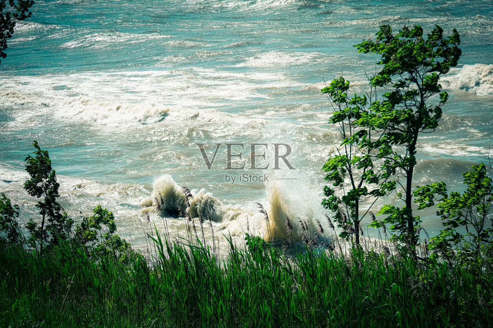 在阳光明媚的日子里，柳树湖畔公园的岸边溅起了湖水照片摄影图片