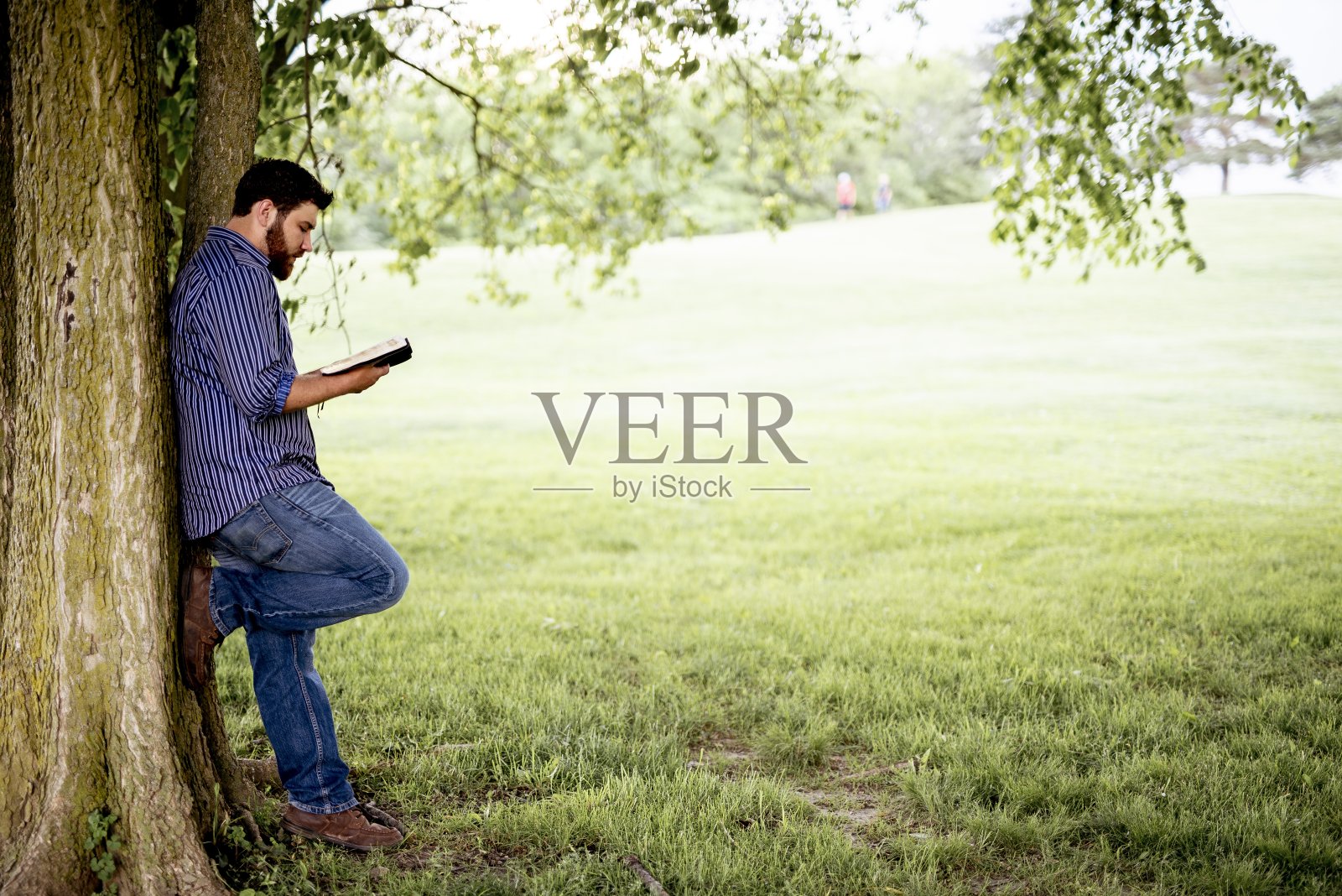 男倚着树读着背景模糊的《圣经》照片摄影图片