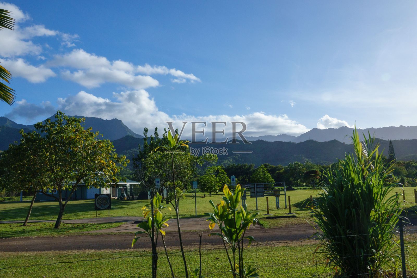 夏威夷考艾岛公园里郁郁葱葱的绿色植物和树木的美丽景色照片摄影图片